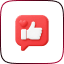 Facebook Page Likes